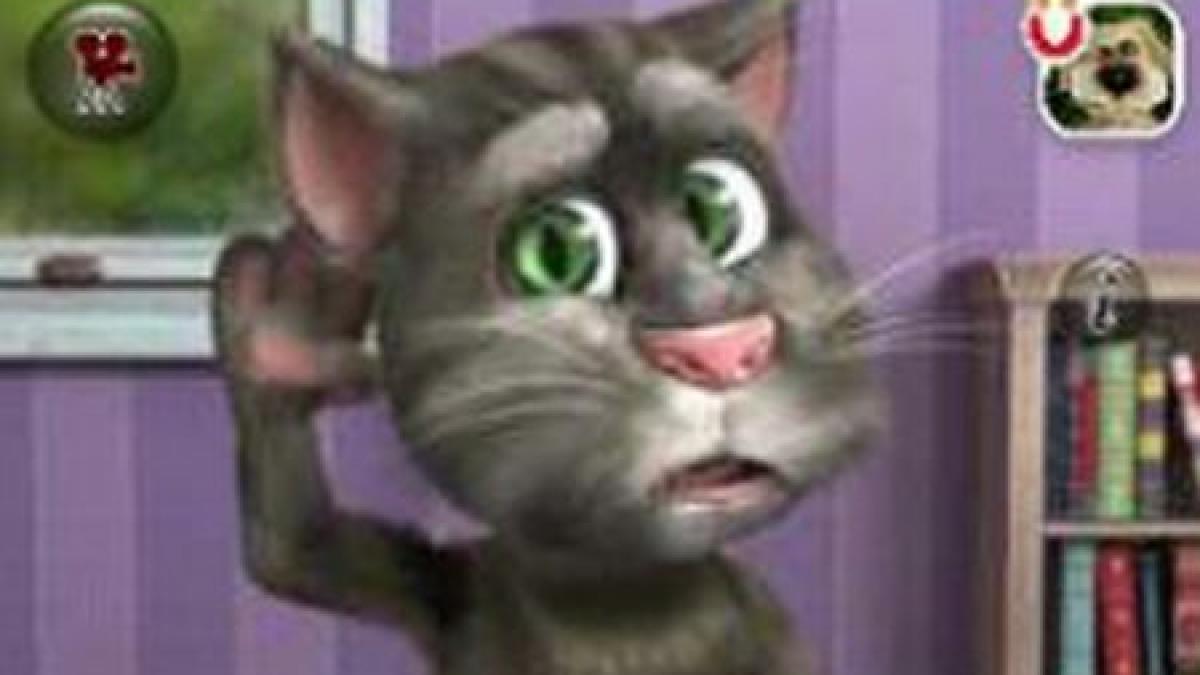 in timpul sedintei extraordinare un parlamentar a batut o pisica pana a lasat o lata