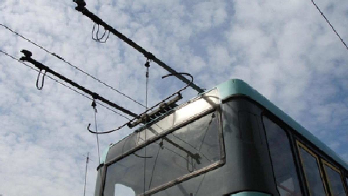 circulatia troleibuzelor blocata in zona universitate un copac cazut a rupt cablurile electrice