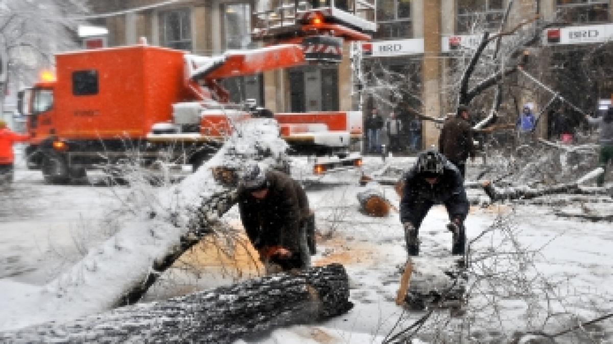 prahova copac cazut peste un microbuz cu 13 pasageri pe dn1