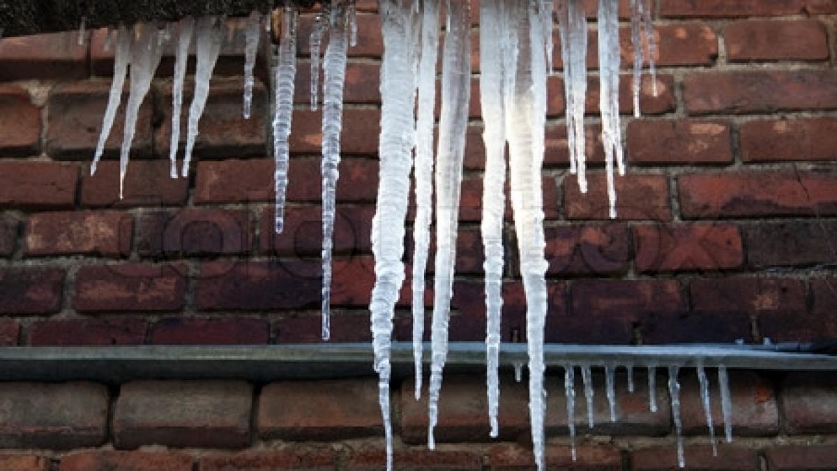 bucuresti sorin oprescu verifica in aceasta noapte adaposturile sociale ale dgasmb cat si degajarea