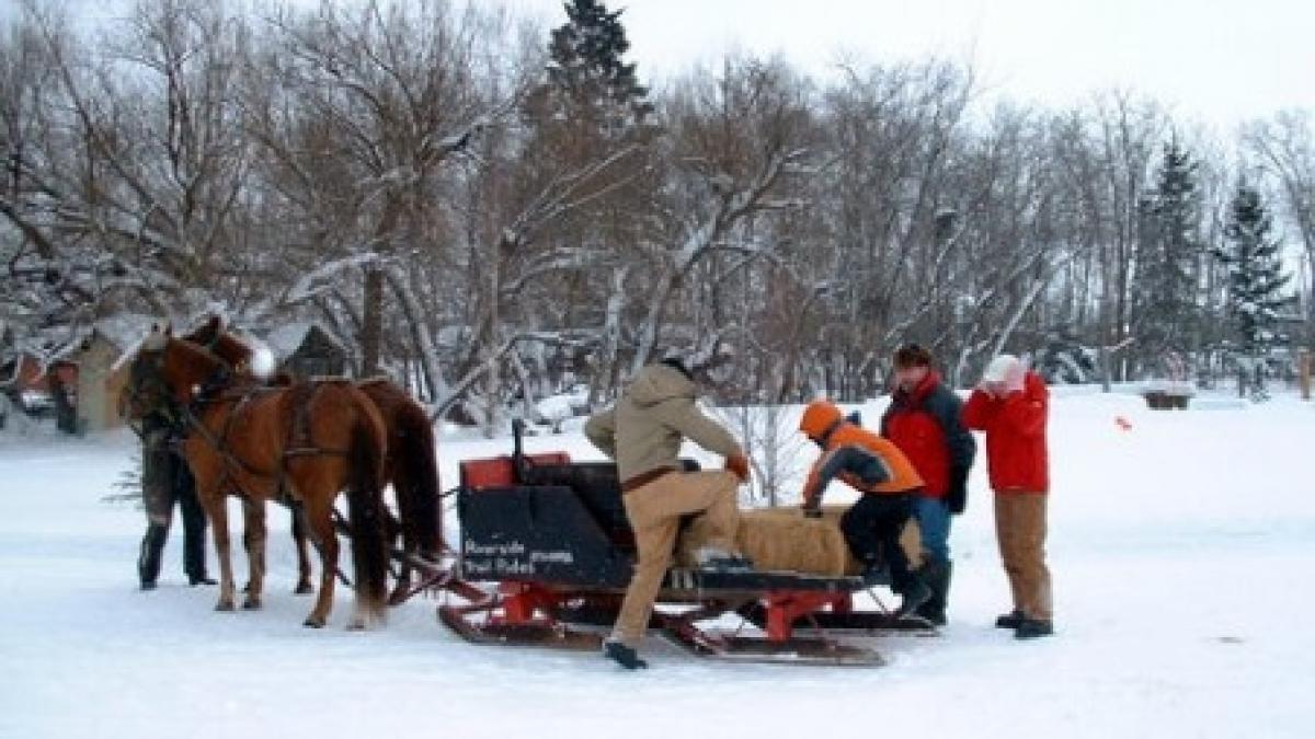 experienta la munte de neuitat plimbare cu sania trasa de cai