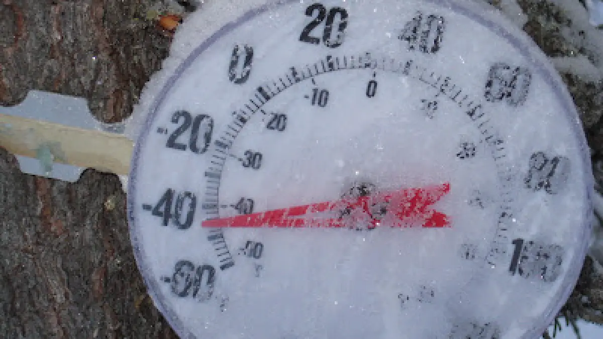 socul termic in timpul gerului vezi la ce schimbari de temperatura este supus organismul