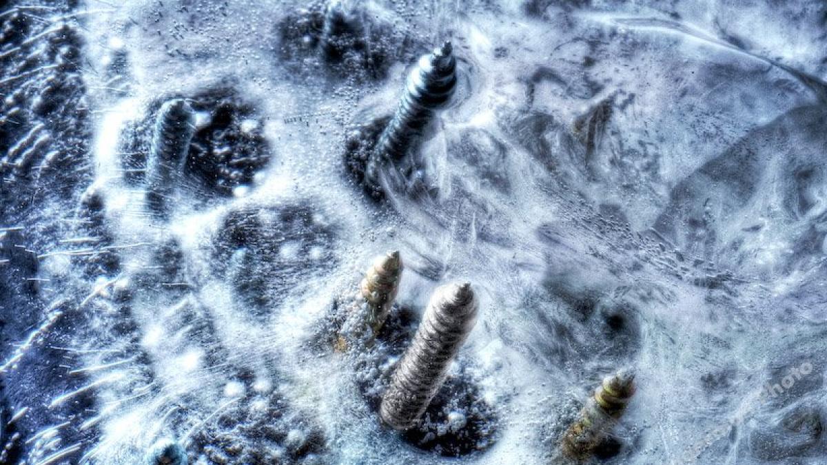 viata nu are nicio sansa vezi ce se intampla la o temperatura de 273 de grade celsius