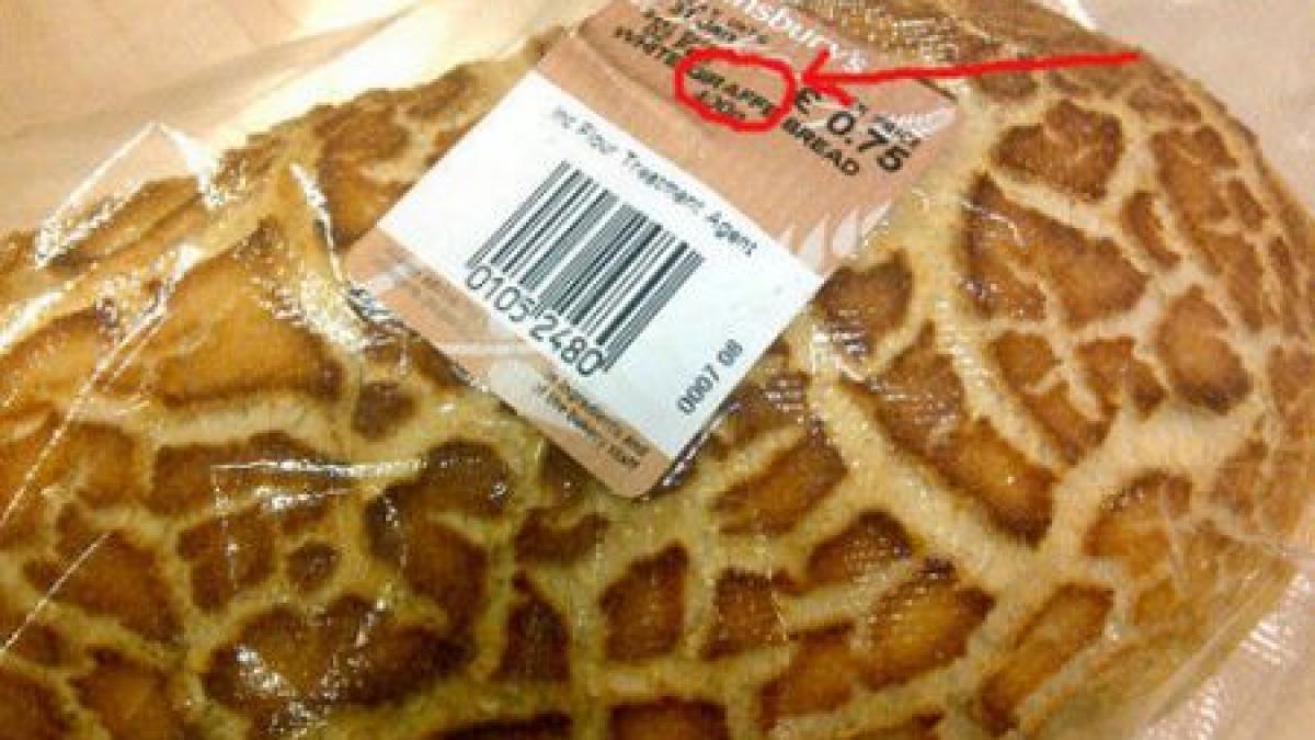 o idee de milioane cand oamenii mari ii asculta pe cei mici