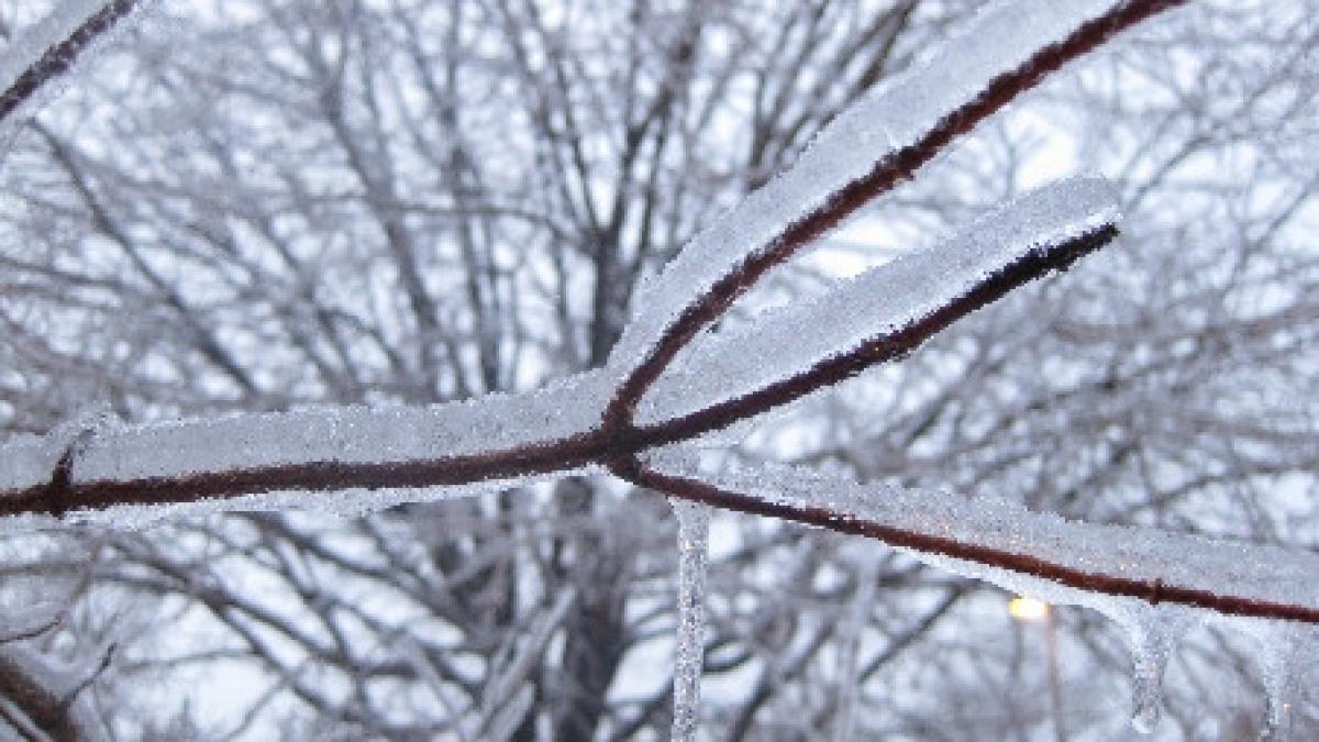 gerul a mai ucis opt oameni bilantul deceselor cauzate de frig a ajuns la 22 persoane
