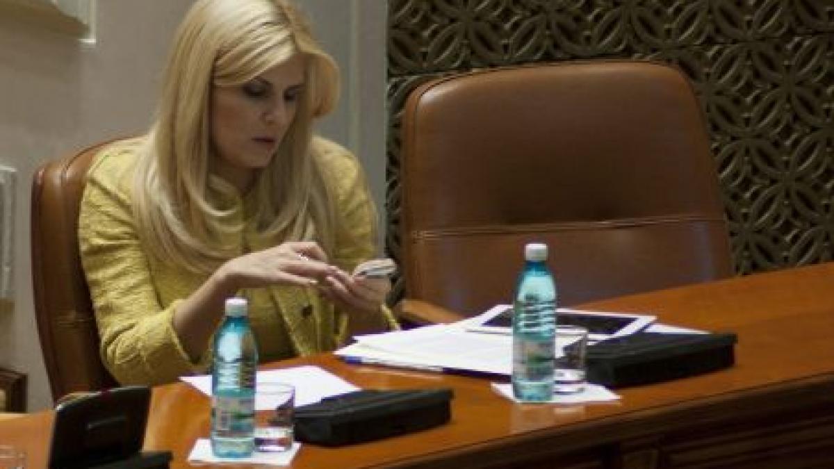 udrea protestatarii din piata universitatii care fac politica sa treaca la munca