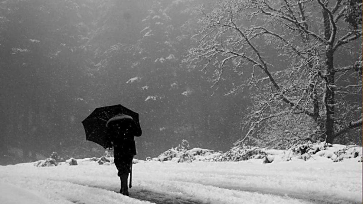 bilantul negru al cosmarului alb abatut peste romania 22 de oameni au murit inghetati