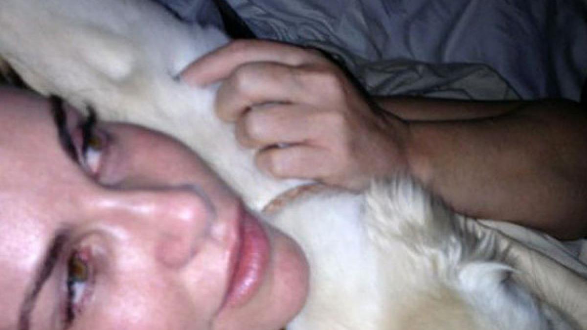 e mic si rozaliu dar nu e botul catelului bonusul pe care l au vazut 19 000 de oameni pe twitter de