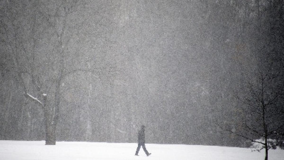 gerul face ravagii in italia peste 2 000 de persoane au ramas fara curent electric