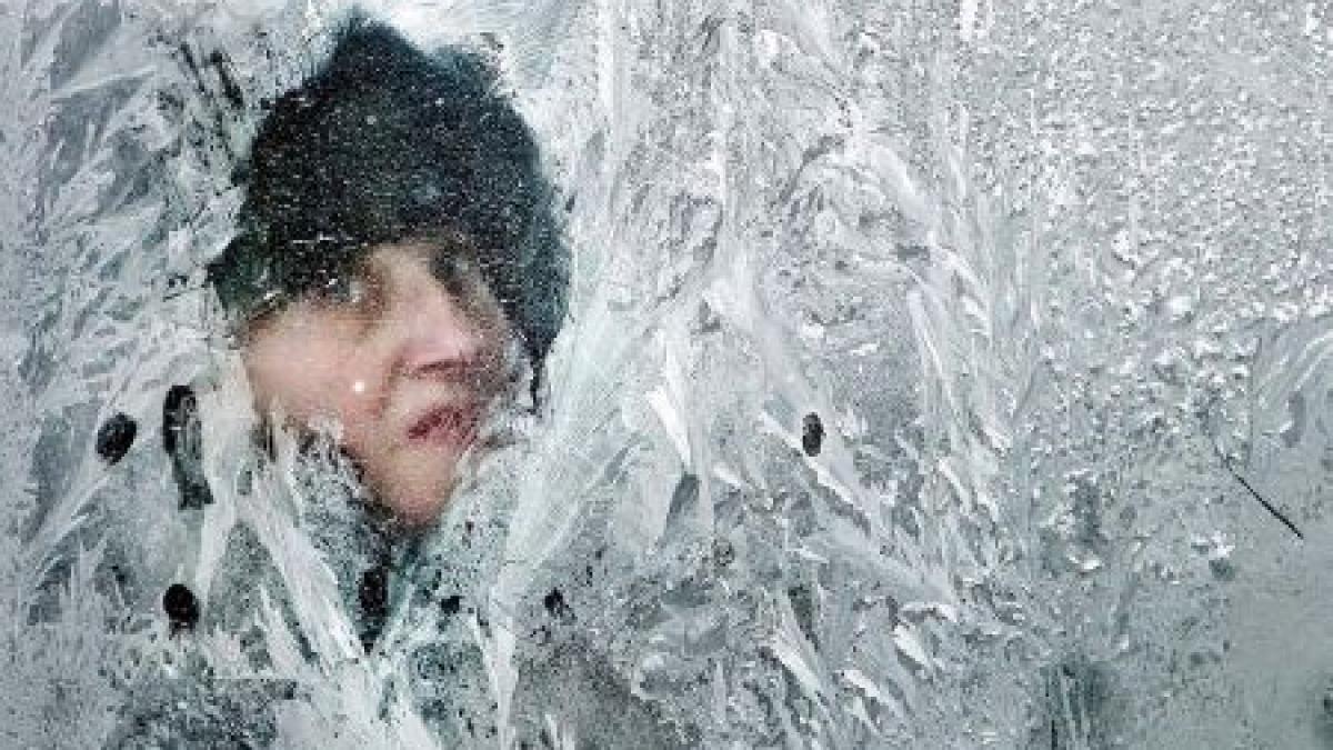 gesturi extreme intr o iarna extrema cum se lupta europa cu gerul si ninsoarea