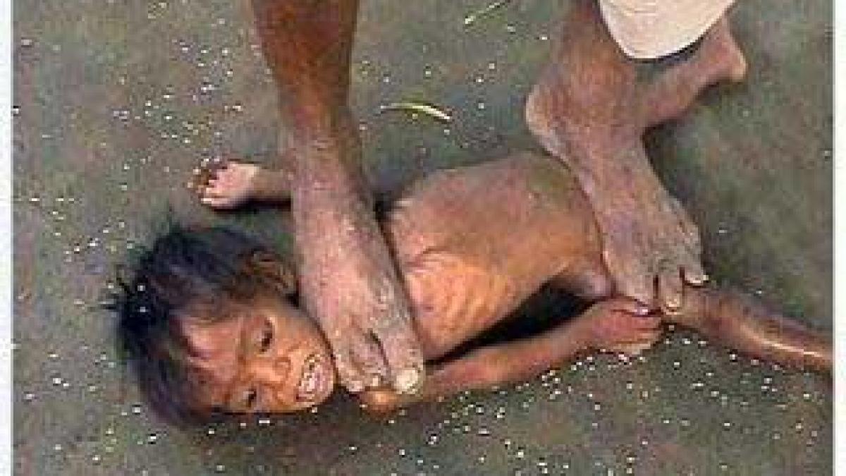 imaginea care a starnit ura a sute de mii de oameni pe facebook cea mai trista fotografie a