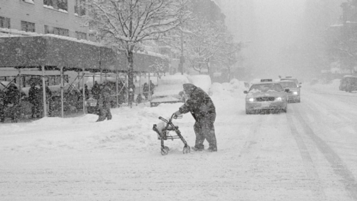din cauza ninsorilor camera deputatilor si senatul vor lucra saptamana viitoare doar in comisii
