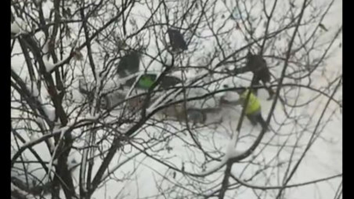 politia inzapezita vezi cum reusesc politistii din bacau sa scape din zapada