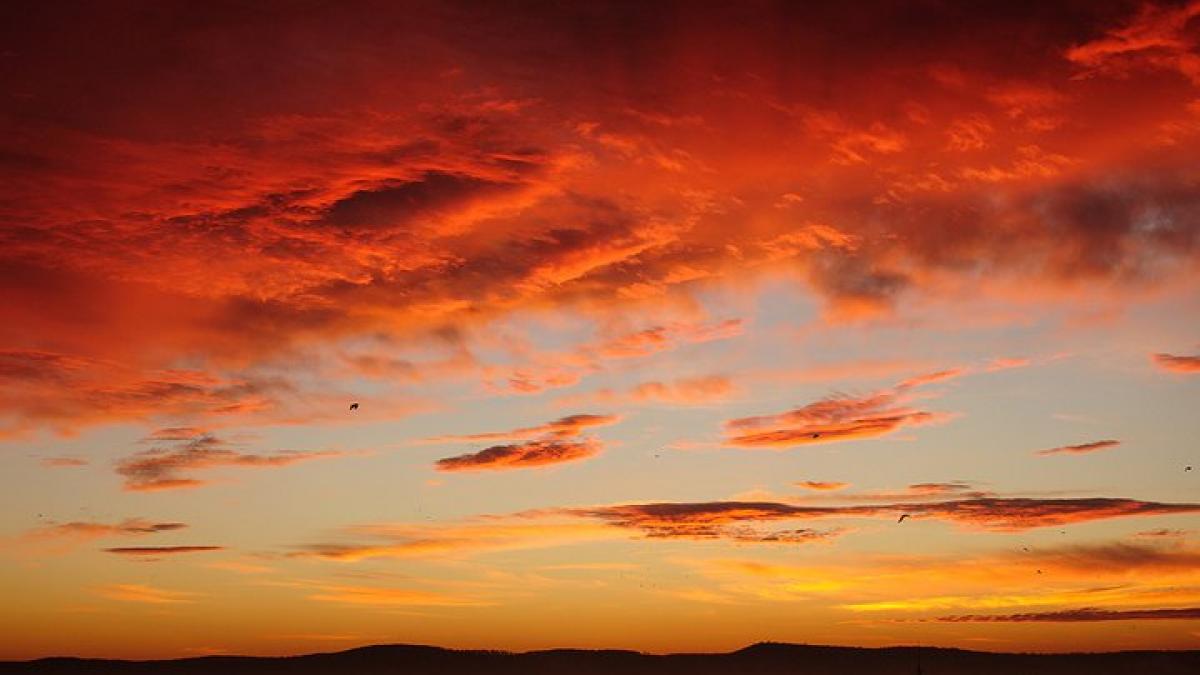 fotografia este o forma de egoism nu eu imi aleg subiectii ei ma aleg pe mine viata prin obiectivul