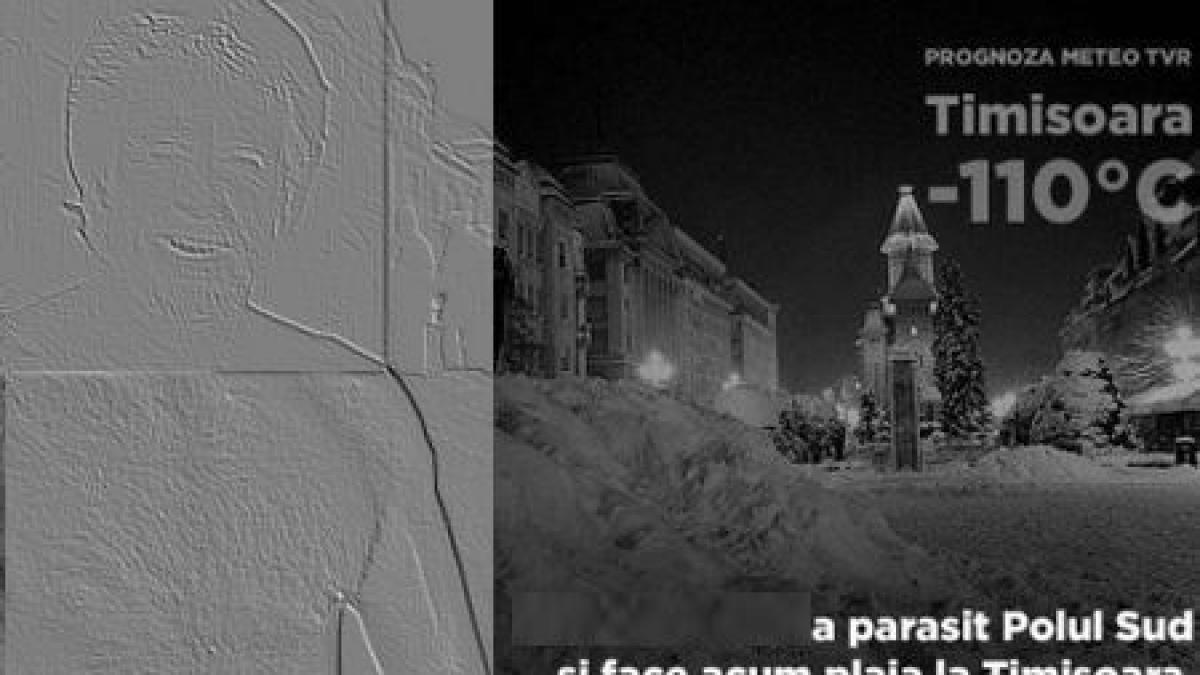 ger care ger vezi cine face plaja la timisoara la 110 grade