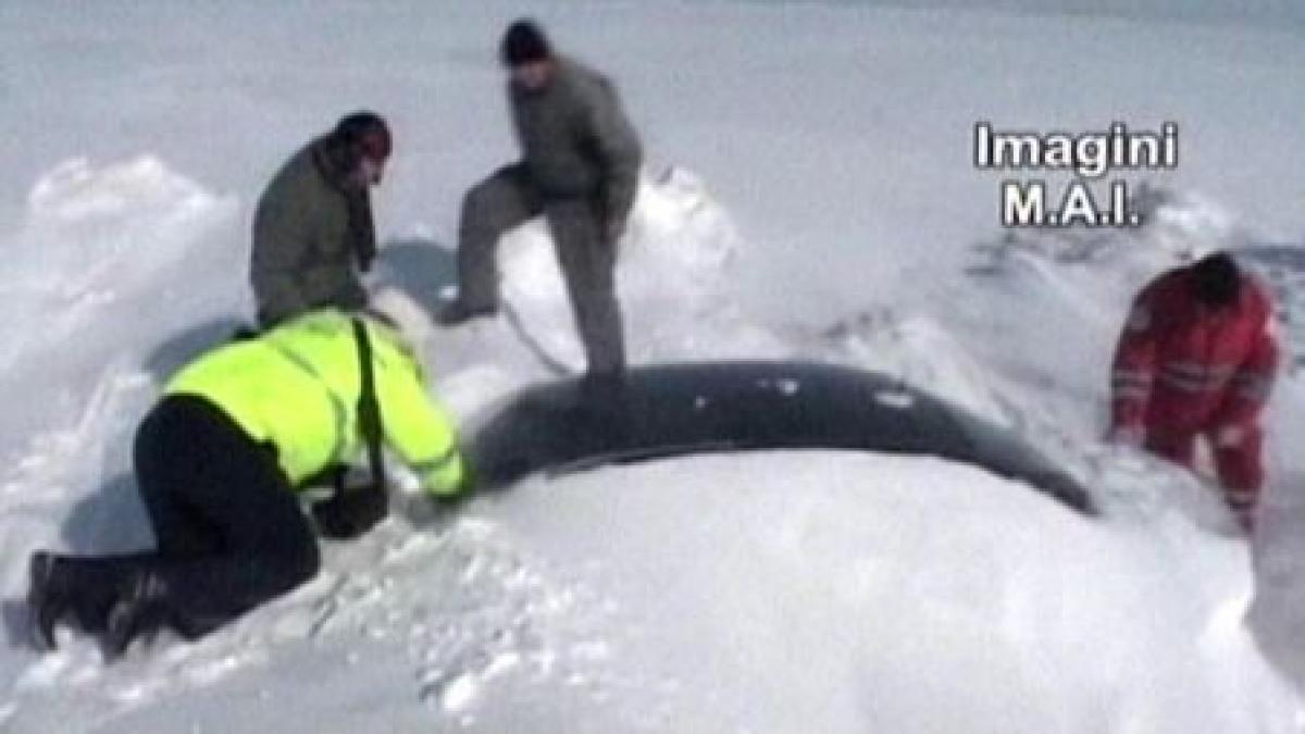 imagini dramatice case si masini inghitite de nameti elicopterele mai au salvat 30 de oameni