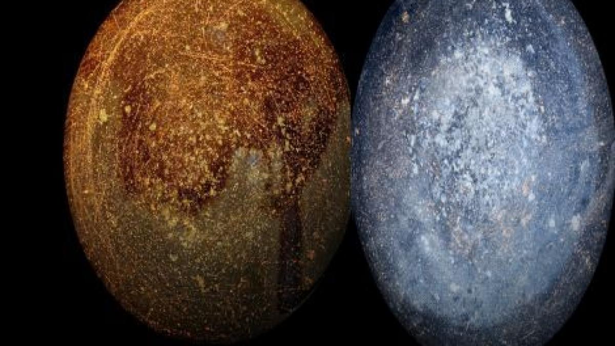 le ai in casa ta si le ai folosit de mii de ori dar daca le vezi nu vei ghici ce sunt