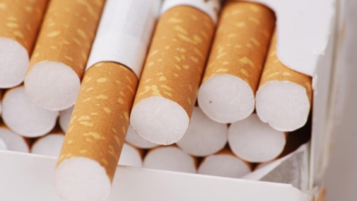 botosani in loc de condimente politistii au gasit peste 24 000 de pachete de tigari intr un camion