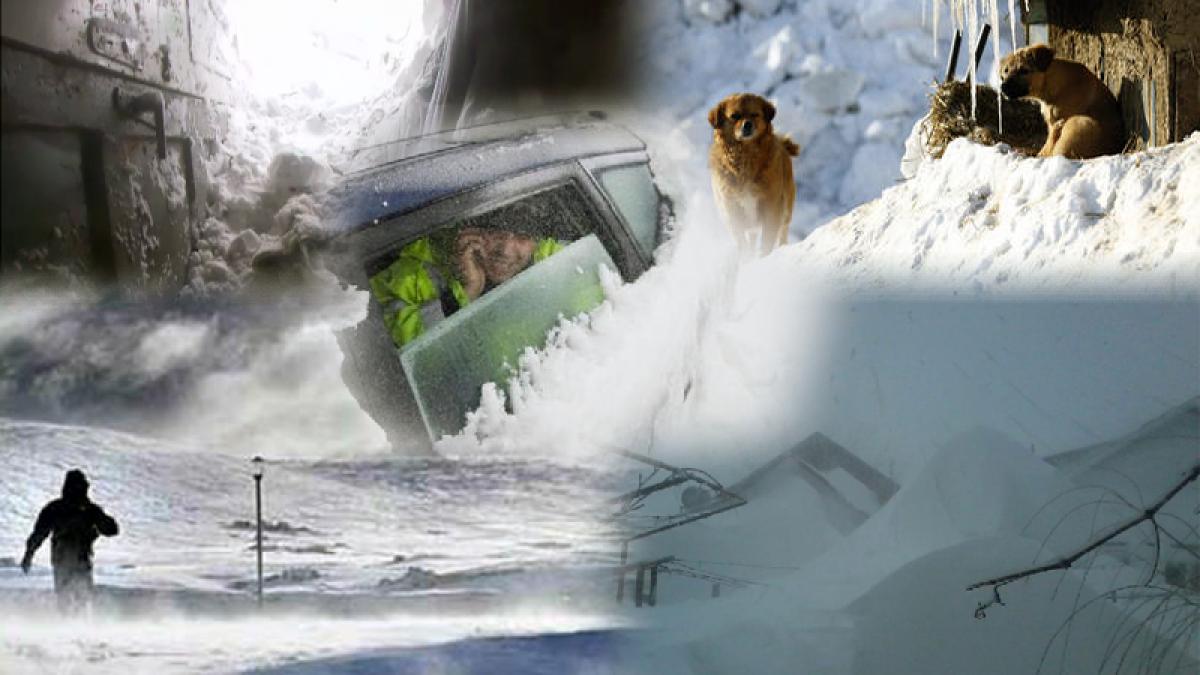 suntem prizonieri in propria casa ne am scris biletele de adio mesajele disperate trimise de