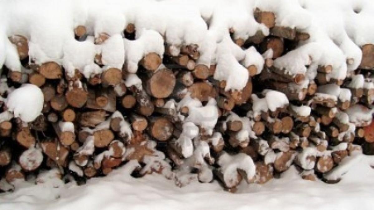 bacau un grup de medici a donat bani pentru cumpararea de lemne destinate sinistratilor din vrancea