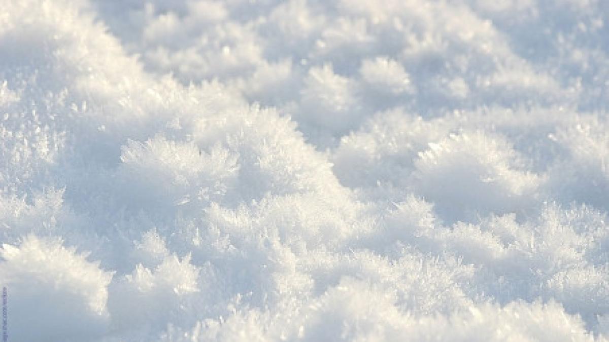 ministrul sanatatii numar record de victime intr o singura zi din cauza frigului