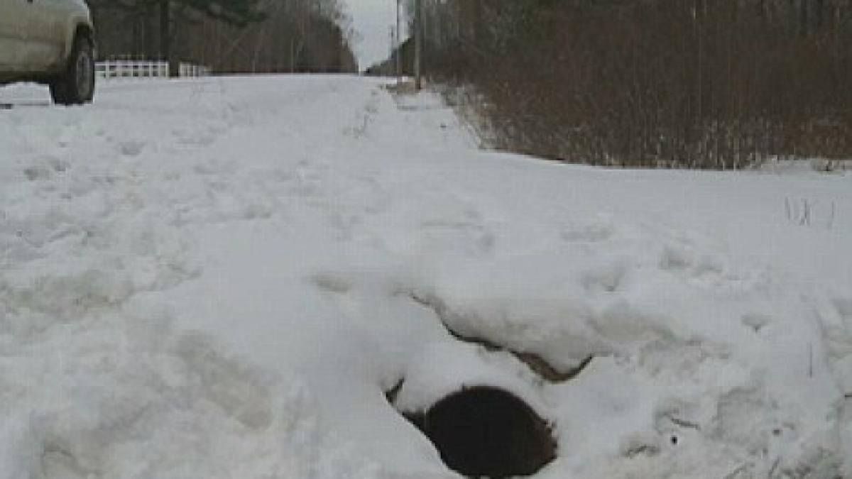 descoperire surpriza intr o conducta de scurgere vezi peste cine au dat cativa automobilisti din sua