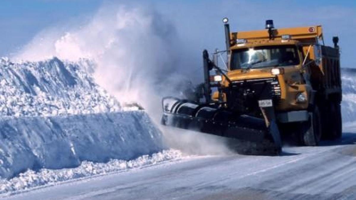 ar trebui sa urmam exemplul lor aceiasi munti de zapada inghititi ca prin minune cum fac