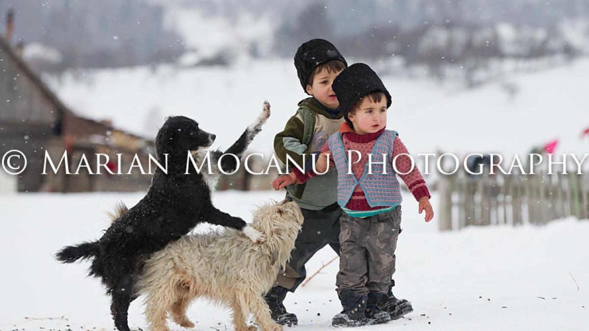 imaginile care au topit zapada si au cucerit sufletele romanilor iarna pe ulita rescrisa in imagini