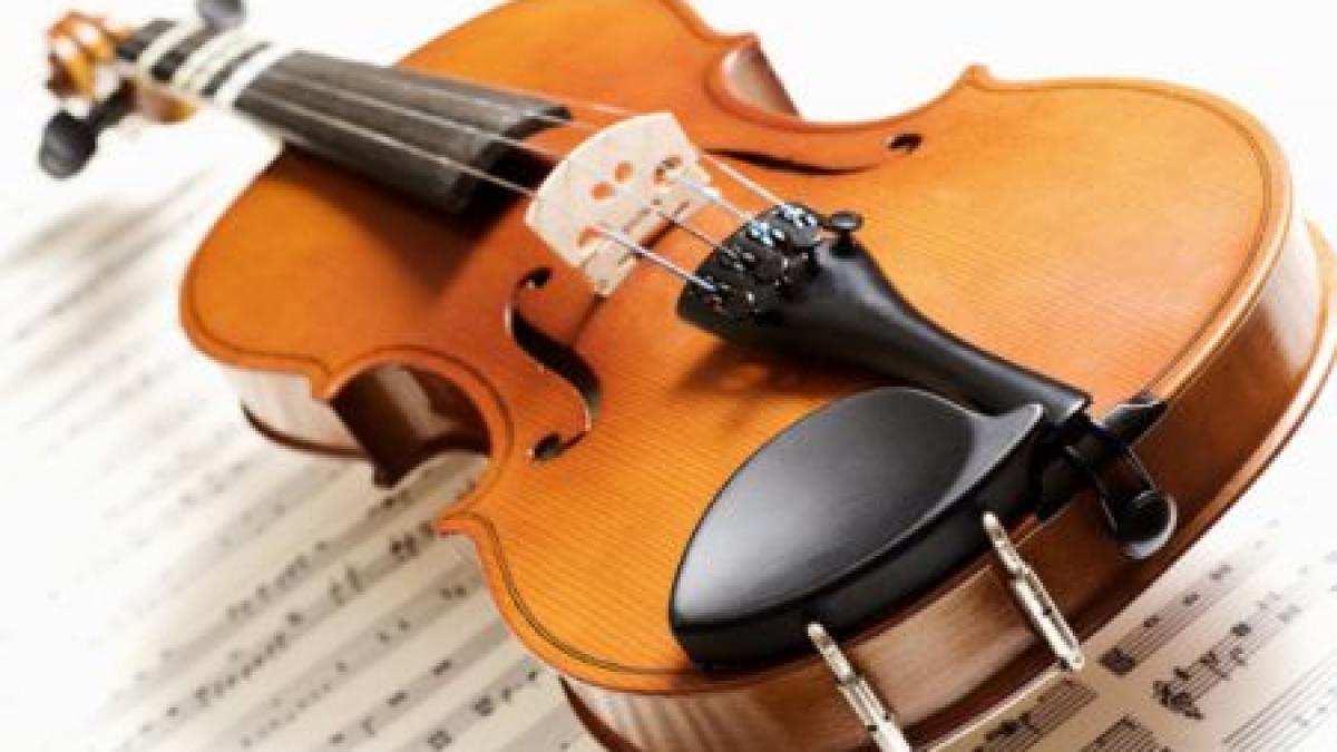 o viola de 12 000 de euro furata din austria a fost gasita in apartamentul unui iesean