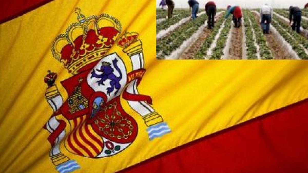 sa fie batuti si trimisi in tara lor atac violent la adresa romanilor din spania