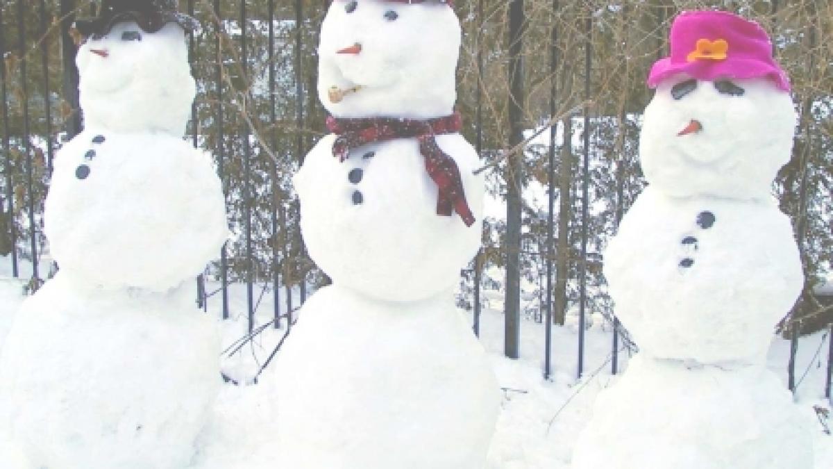 cluj protest inedit cu oameni de zapada care ii inlocuiesc pe cei ce nu pot participa