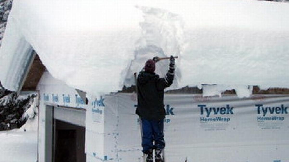 mehedinti zeci de animale moarte sub un acoperis cazut din cauza zapezii