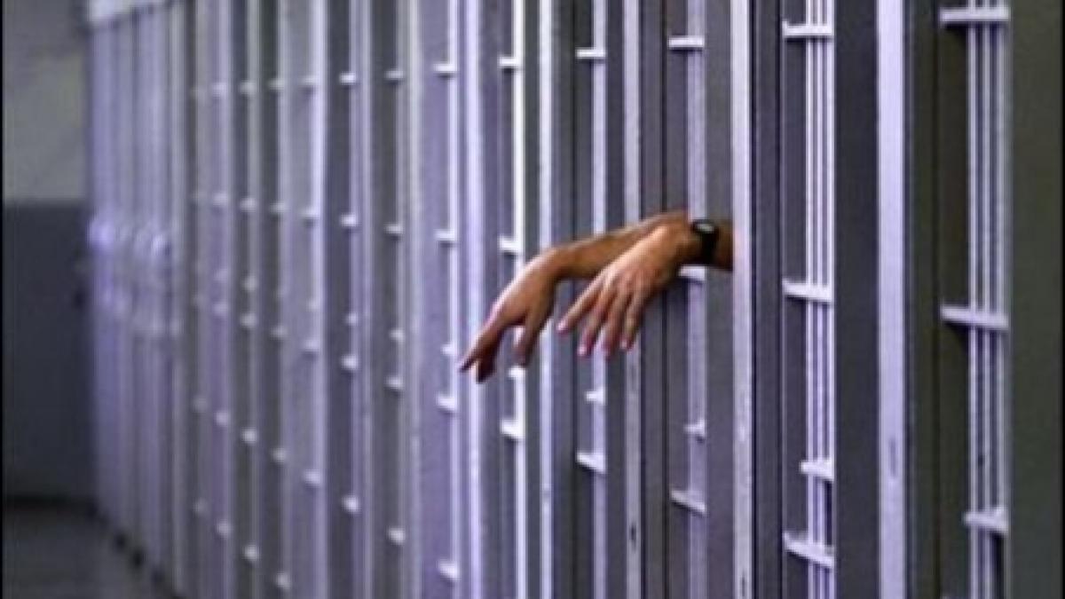 alexandria opt tineri audiati dupa ce ar fi inselat peste 200 de persoane pe internet