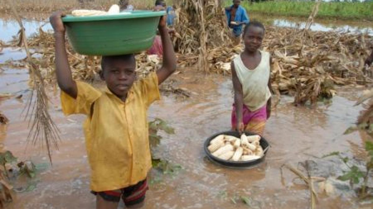 boala misterioasa care ucide mii de copii medicii nu gasesc un tratament