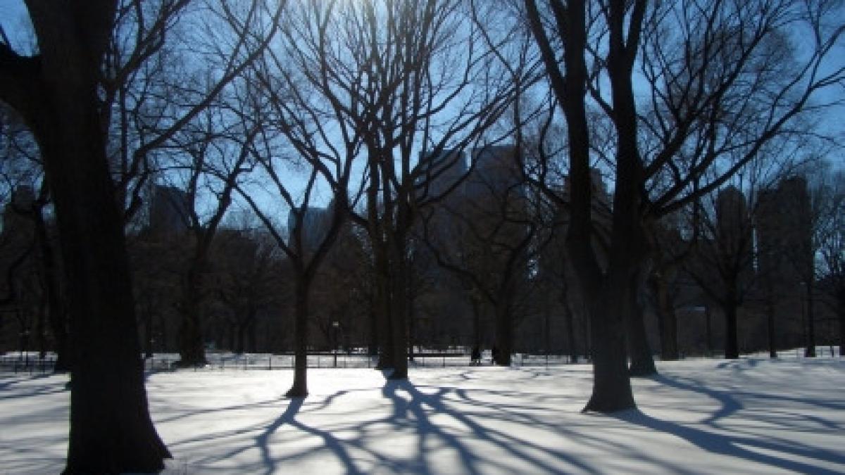 vremea se incalzeste temperaturi de pana la 6 grade in urmatoarele 24 de ore