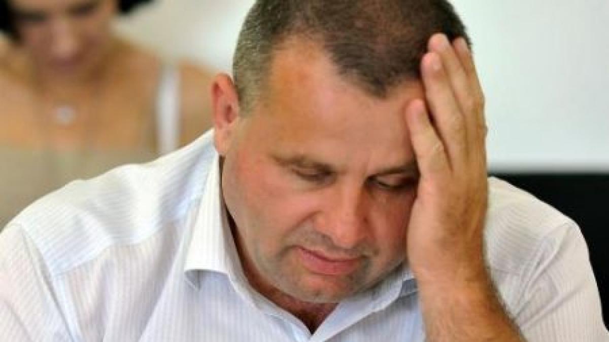 firmele de casa ale pdl cliente fidele la fondurile posdru vezi ce membri marcanti ai puterii