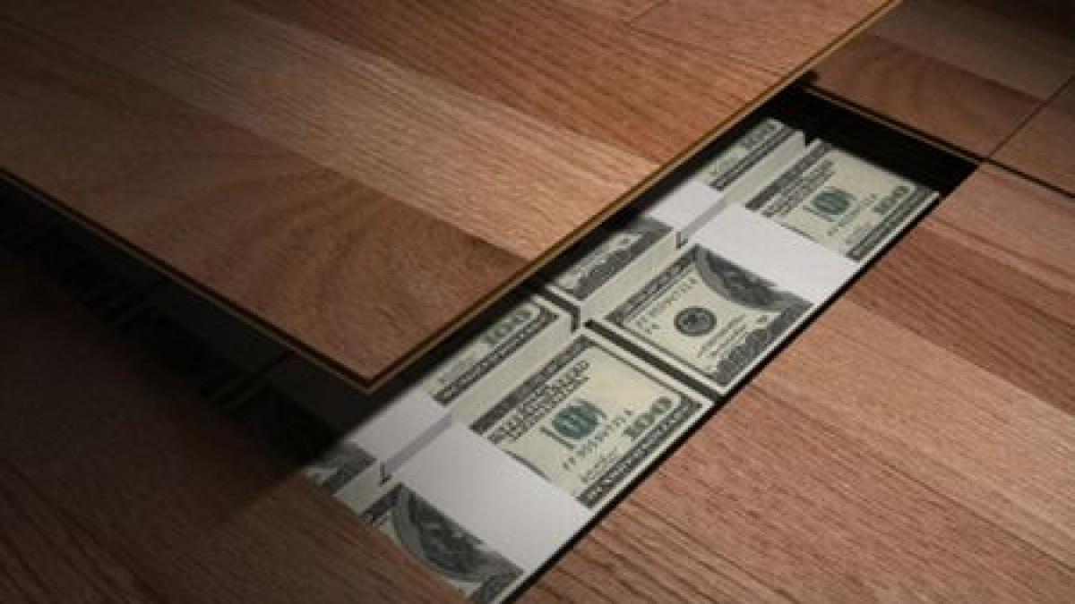 hotii termita s au infiltrat sub podeaua casei si au furat zeci de mii de euro