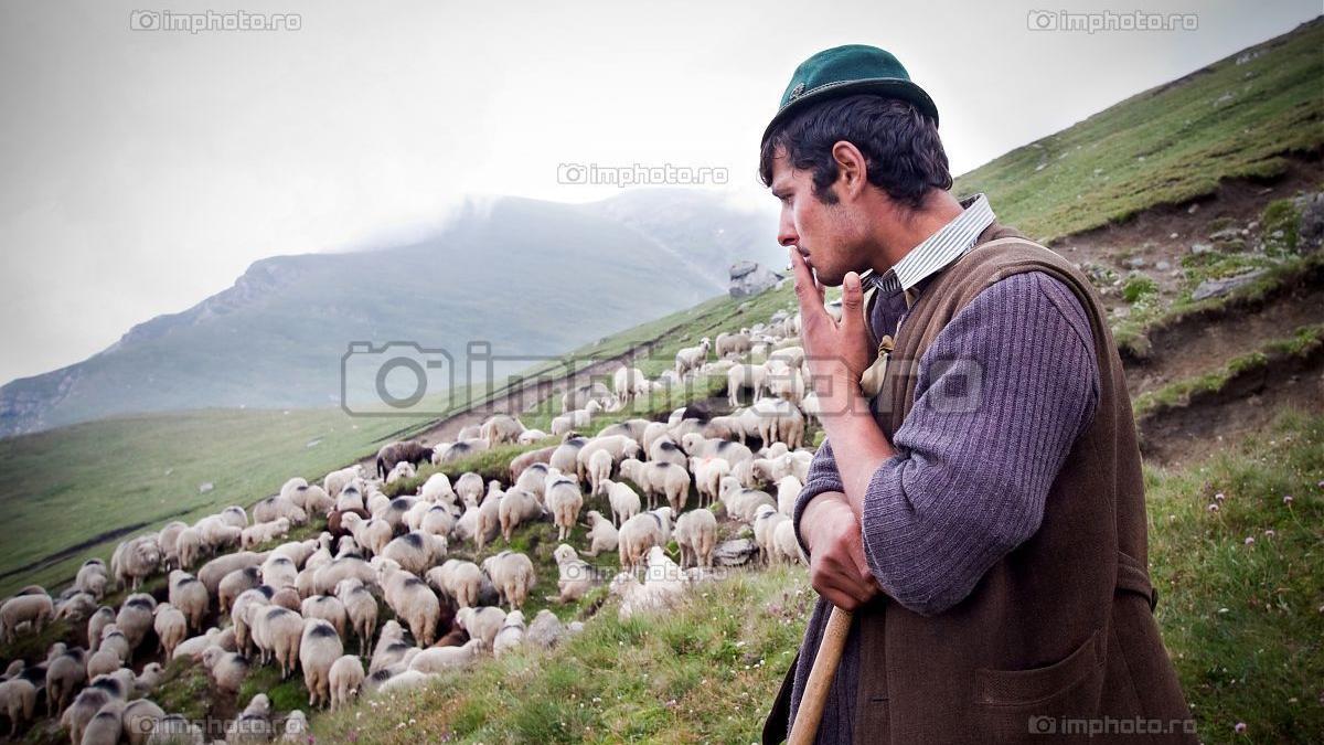 incredibil cioban somer la 95 de ani