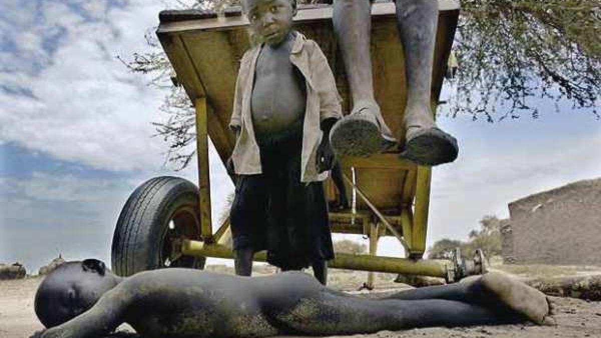 riscam sa murim de foame plaga se va extinde la nivel planetar vezi ce solutii trebuie luate pentru