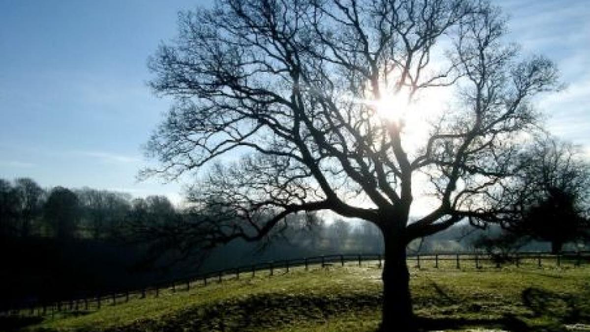 temperaturi de primavara in acest week end sambata vom avea 12 grade