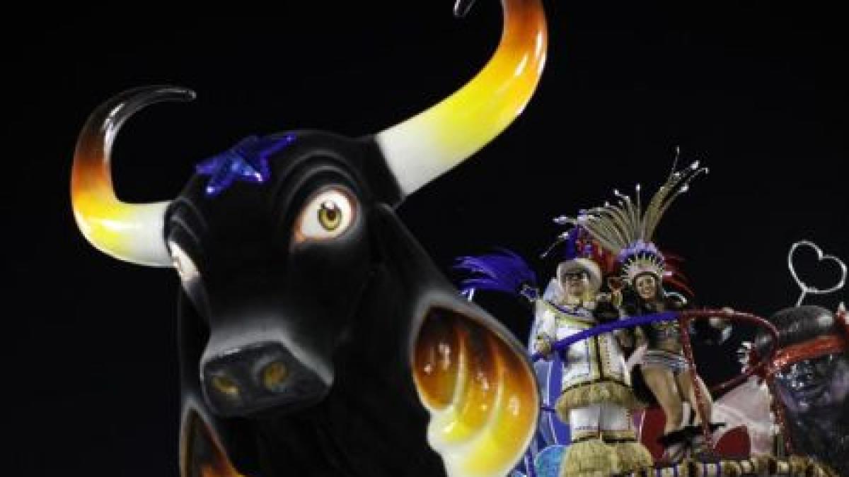 un roman supranumit curcubeul uman face senzatie la carnavalul de la rio