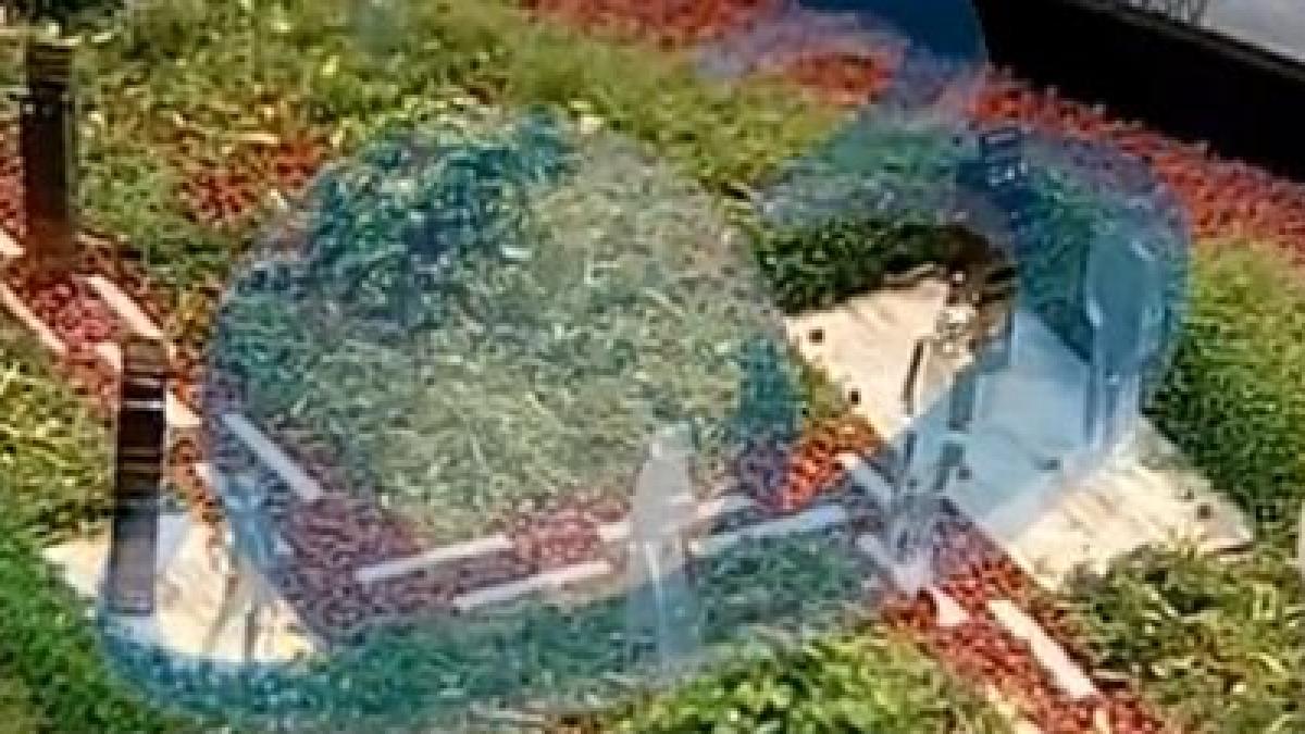 o romanie mai curata misiunea care a adunat peste 100 de expozanti sub pavilioanele romexpo