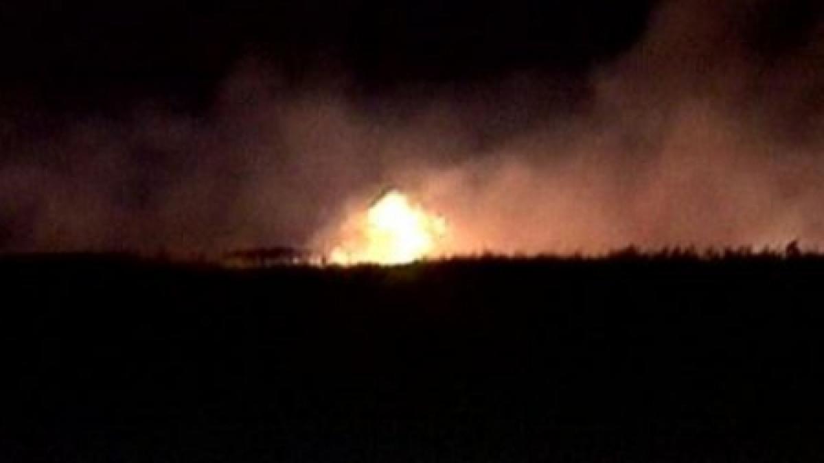 incendiu in zona rezervatiei biosfera delta dunarii 20 de hectare sunt cuprinse de flacari