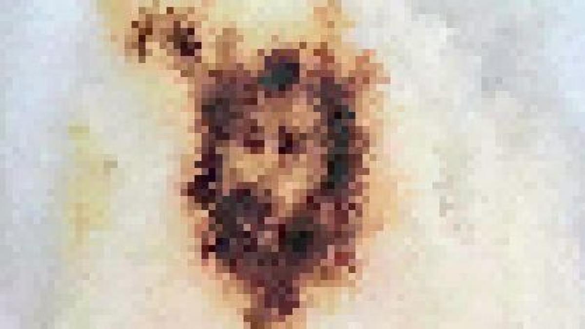 un mexican crede ca l a vazut pe iisus n o sa ghicesti niciodata unde