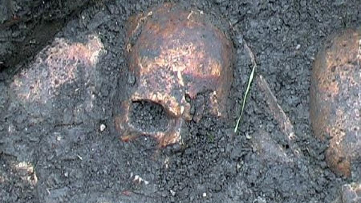 descoperire macabra in sibiu un craniu uman a fost gasit intr o mlastina