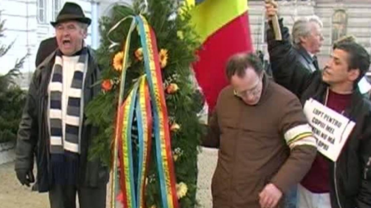 noua protestatari din arad au fost luati cu forta de jandarmi din fata primariei si dusi cu duba la