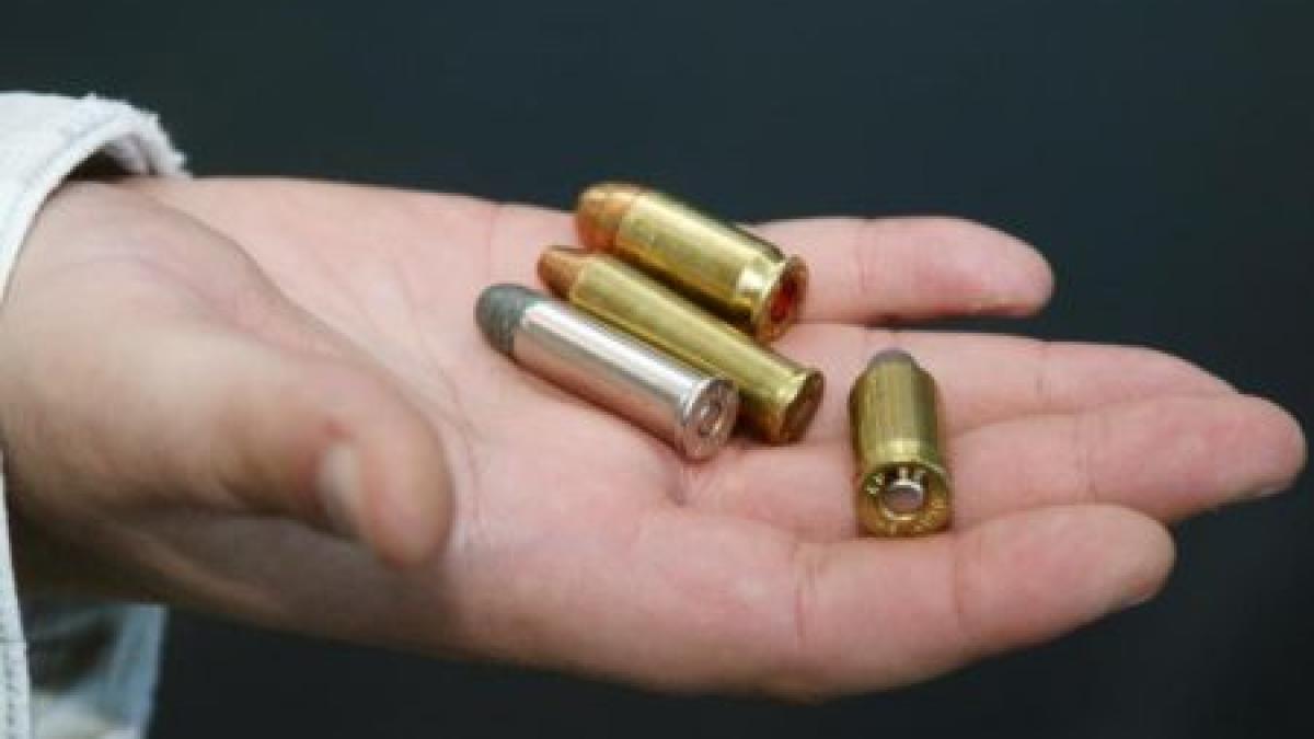 romanii atrasi de armele de foc fost sef din politia romana avizul psihologic e valabil pana iesi