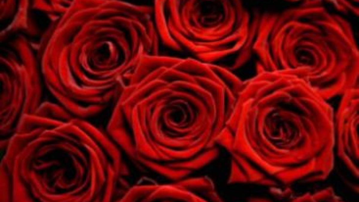 1 milion de trandafiri pentru a si impaca sotia de 8 martie