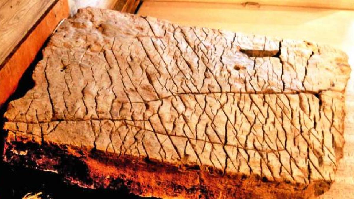 descoperirea care schimba timpul si istoria omenirii harta creatorului arata cum a aparut viata pe