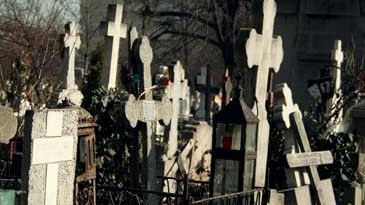 a fost prea tarziu pentru ele in ziua in care a fost promulgata legea antiviolentei felicia si